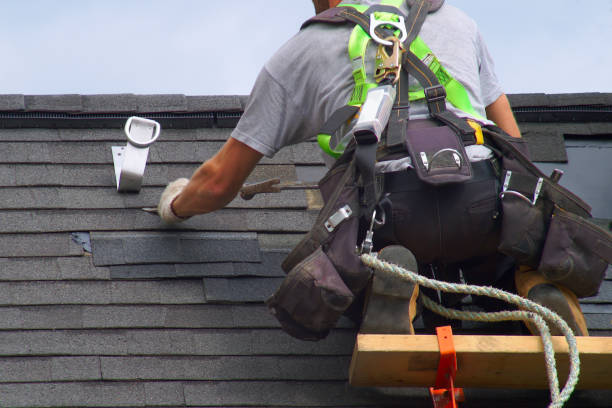 Best Metal Roofing Contractor  in Iowa City, IA